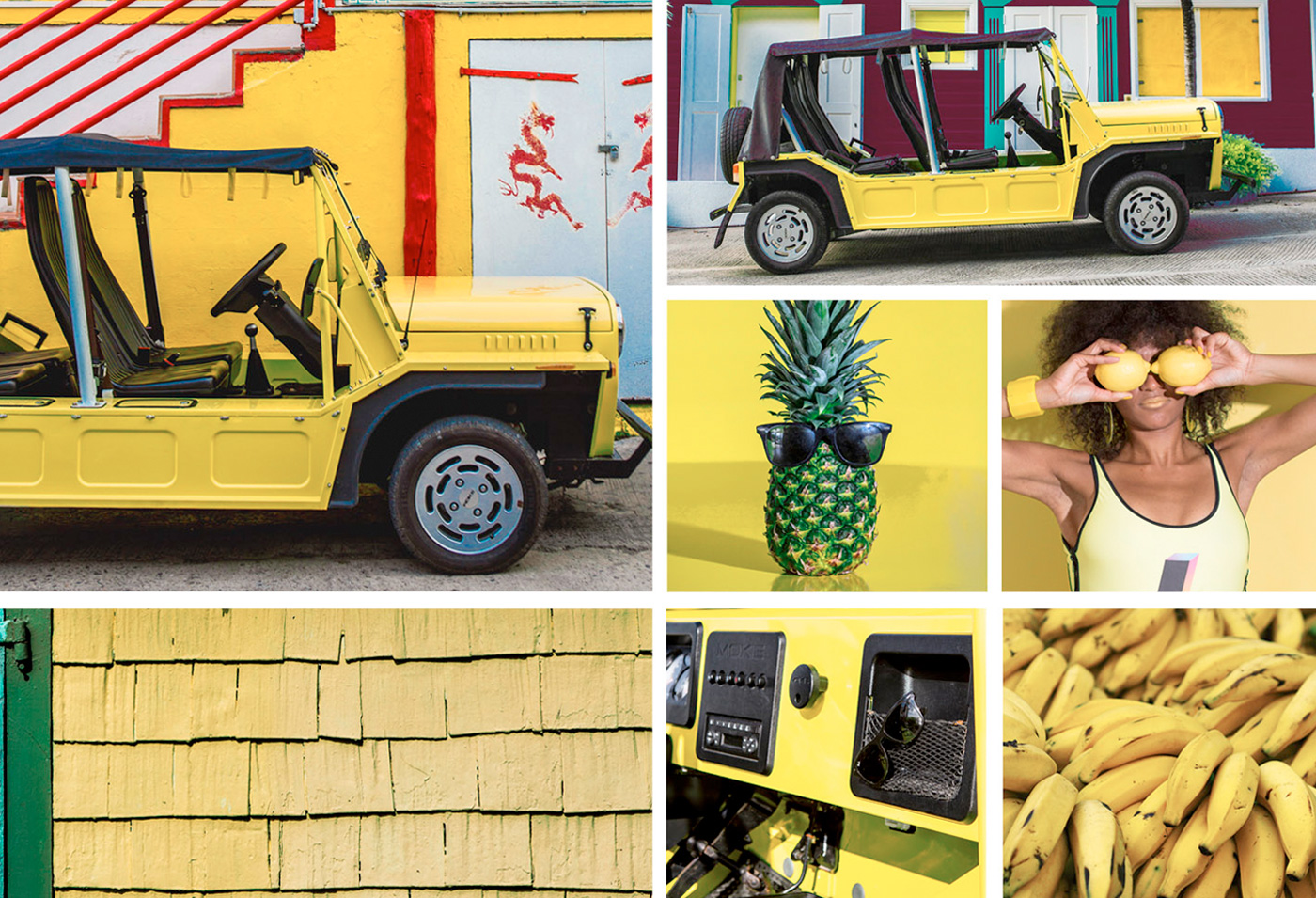 Moke Electrics